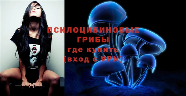 герыч Верхний Тагил